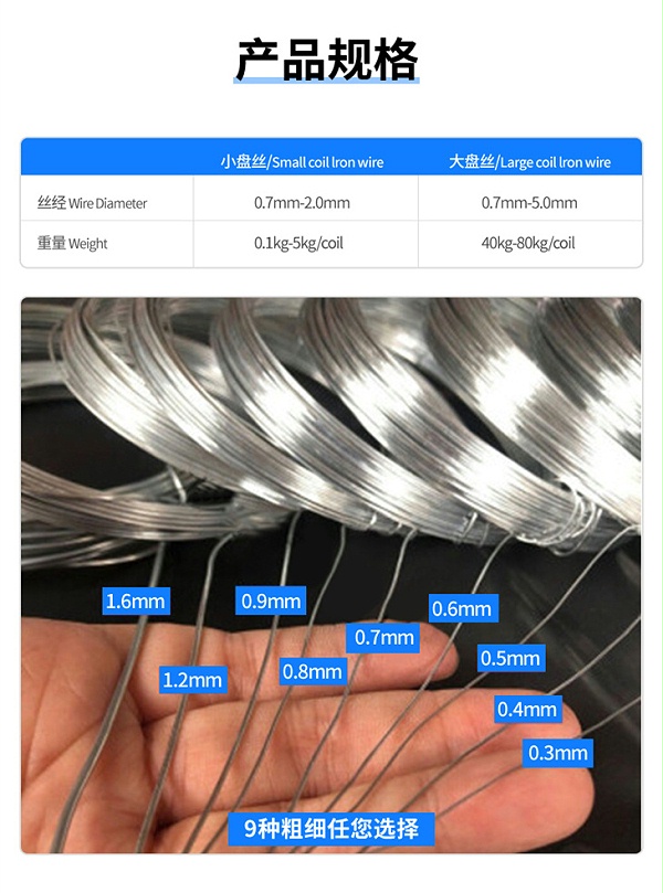 盘丝