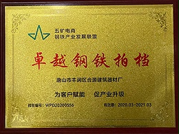 卓越钢铁拍档