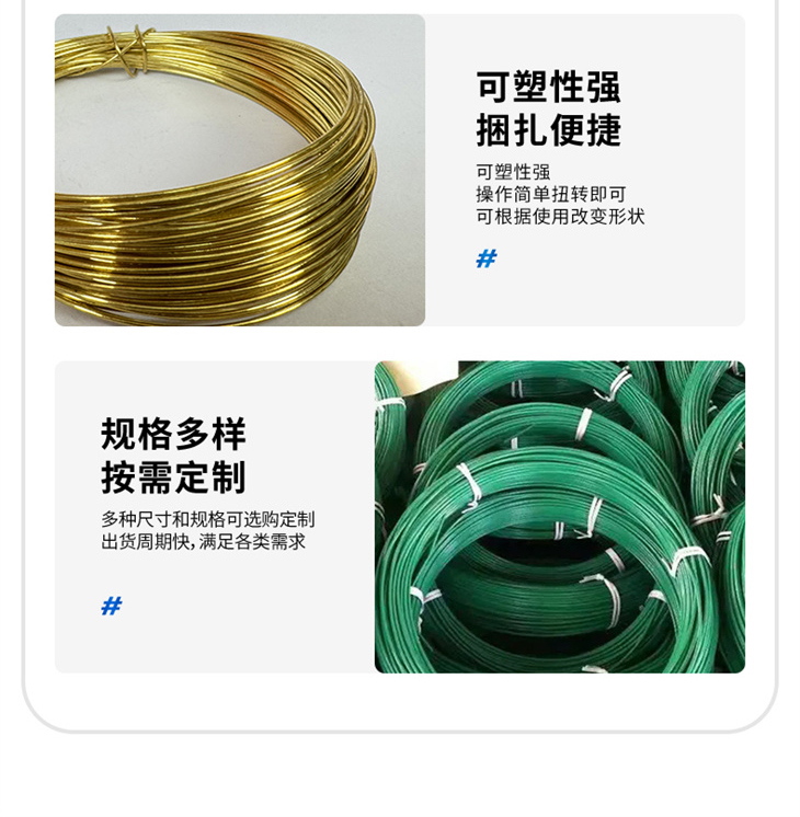 盘丝