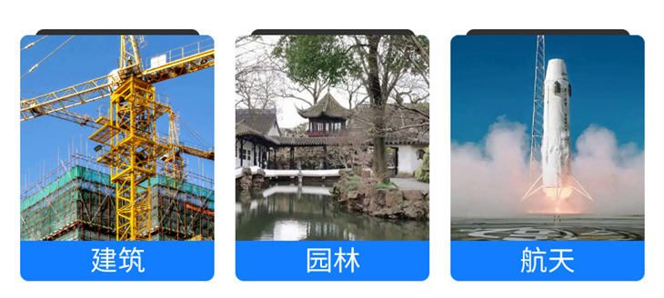 盘丝